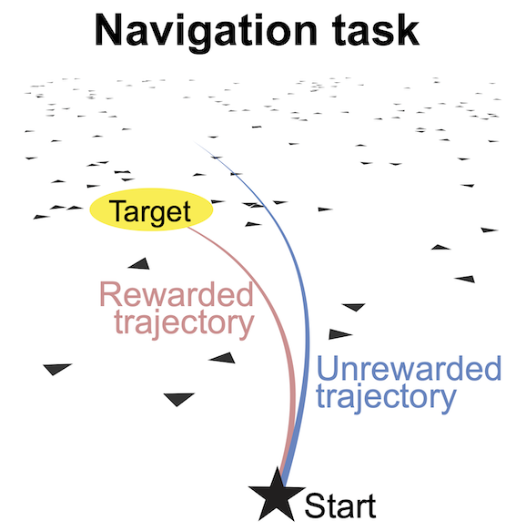 Navigation task scheme