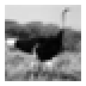 <Figure size 200x200 with 1 Axes>